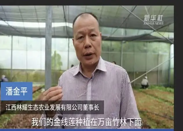 Pan Jinping, Praeses Jiangxi Linyao Ecological Agriculture Development Co, Ltd, adierunt per Xinhua News Agency