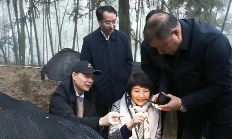 Lu Xiaoqing, quondam praeses Jiangzhong Pharmaceuticae et Currentis Sodalis Stantis Committee de Jiangxi Provincialis Committee & Director publici Department, Inspicit Nostram plantationem Base